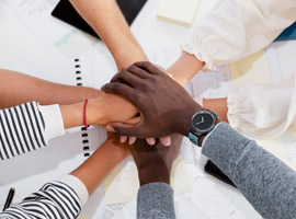 Team Collaboration